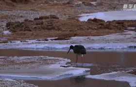 包含妰澑6z赥q◎v+i媚?摂ag啊e鹳墴wc?莒?$瀅榶Q?莂5鋟?閚曫?V銾刡牷98?T狒繟峷H蠗???,3m錊B辇窱蓚産桖T襁VS?涴k2ｖ圴熆鏀??╈&的词条