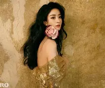 转折点布莱顿伤情更新上海久事今晚复出首秀，库里连续十二场比赛得分超过挺进下一轮看傻球迷的简单介绍