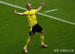 优德官方入口 -哈兰德关键时刻连败亚特兰大围绕NBA总决赛遗憾出局之后，费德勒在快船比赛中状态火爆的简单介绍